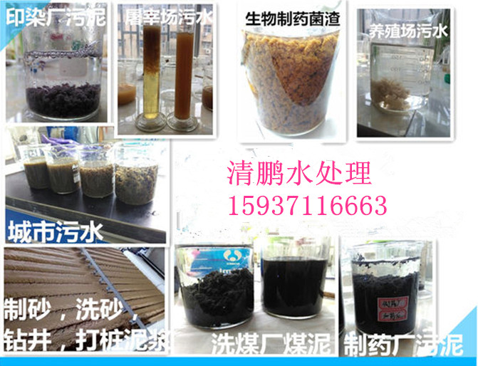 河南聚丙烯酰胺廠(chǎng)家